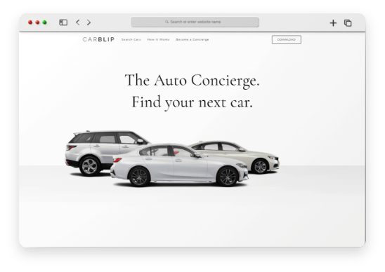 Overview Online Car Buying Site Project